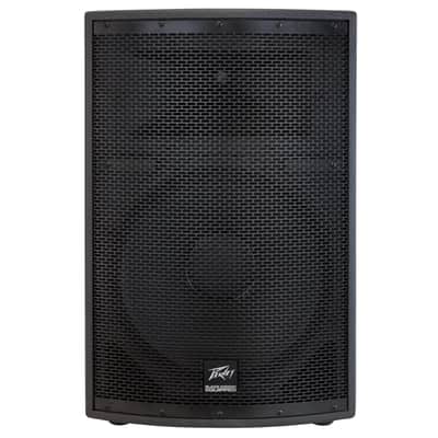 Peavey SP 2 Passive 1000-Watt 2-Way Speaker image 1