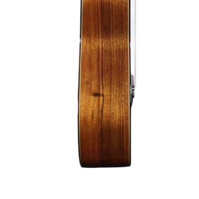 Manuel Adalid 12 Spruce image 7