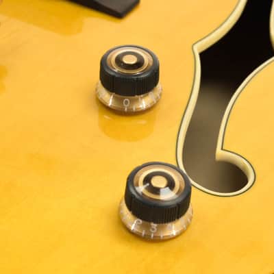 Ibanez PM2-AA Pat Metheny Signature Model image 9