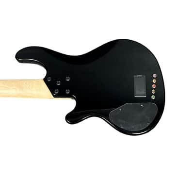 Lakland Skyline 55-02 Custom, Spalt Violet Burst / Maple 9.4 LBS *IN STOCK* image 2