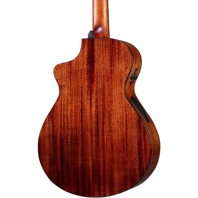 Breedlove Solo Pro Concert Nylon-String Classical Acoustic-Electric Guitar Regular Edge Burst image 2