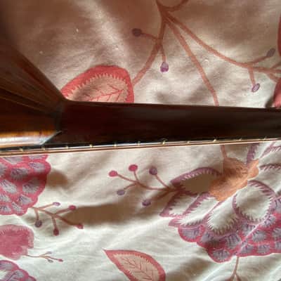 Gennaro Maglioni vintage bowlback Mandolin. image 7
