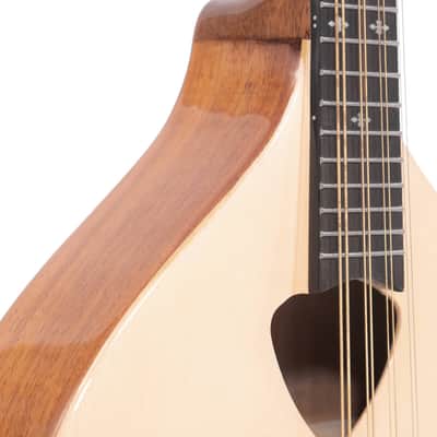 Gold Tone Mandola Solid Spruce Top Mahogany Neck Traditional Irish Mandola with Pickup & Gig Bag image 7