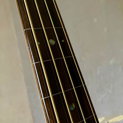Rick Turner Electroline fretless 4 string bass guitar (thick epoxy coated fingerboard) image 9
