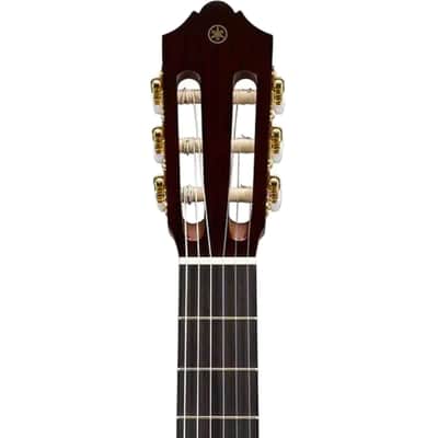 Yamaha Transacoustic Nylon String Cg Guitar image 7