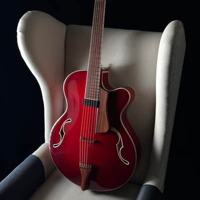 Tad Brown Archtop 16" Acoustic Calton Case image 20