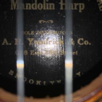 Hawaiian Mandolin Harp A. R. Yendricks & Co. Club Special 1920's - Natural image 3
