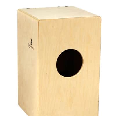 DG Chanela [Natural] [New model/soft case included] image 2