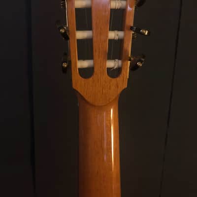 Kolya Panhuyzen Classical Guitar 2012 Cedar/Ziricote image 8
