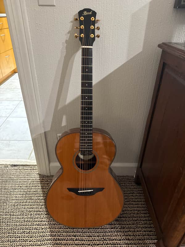 Brook Acoustic Guitar 2013 image 1