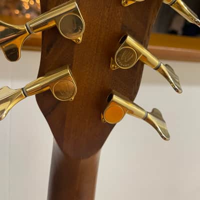 Warwick Streamer LX Jazzman V Bass image 3