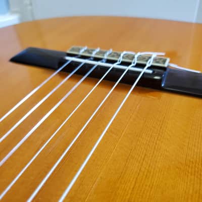 Rare Takamine Jasmine TC28C korea acoustic electric classical cutaway guitar 1990s full sound image 7