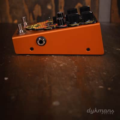 Beetronics Larva image 6