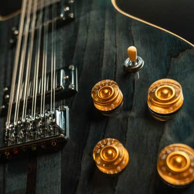 Washburn Hawk 12-String Trans Black image 10