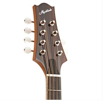 KR Strings Octolindo Artist model 2020 Natural image 4