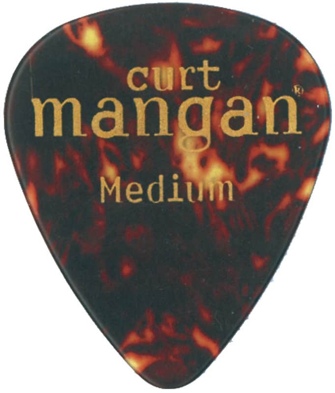 Medium Tortoise Shell Pick image 1