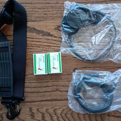 Electric Violin Silent Practice Carbon Fiber & Wood Quality MAX Case and 2 Bows image 8