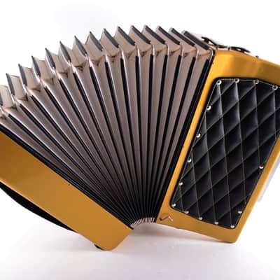 Custom Made Top Professional ACCORDION WELTMEISTER STELLA 120 bass, 16 reg. + Hard Case & New High Quality Leather Shoulder Straps ~ Refurbished - Certificate -VIDEO image 13