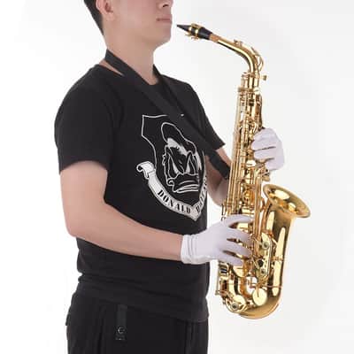 Eb Alto Saxophone Sax Brass Lacquered Gold 802 Key Type with Padded Case Gig Bag & Accessories image 6