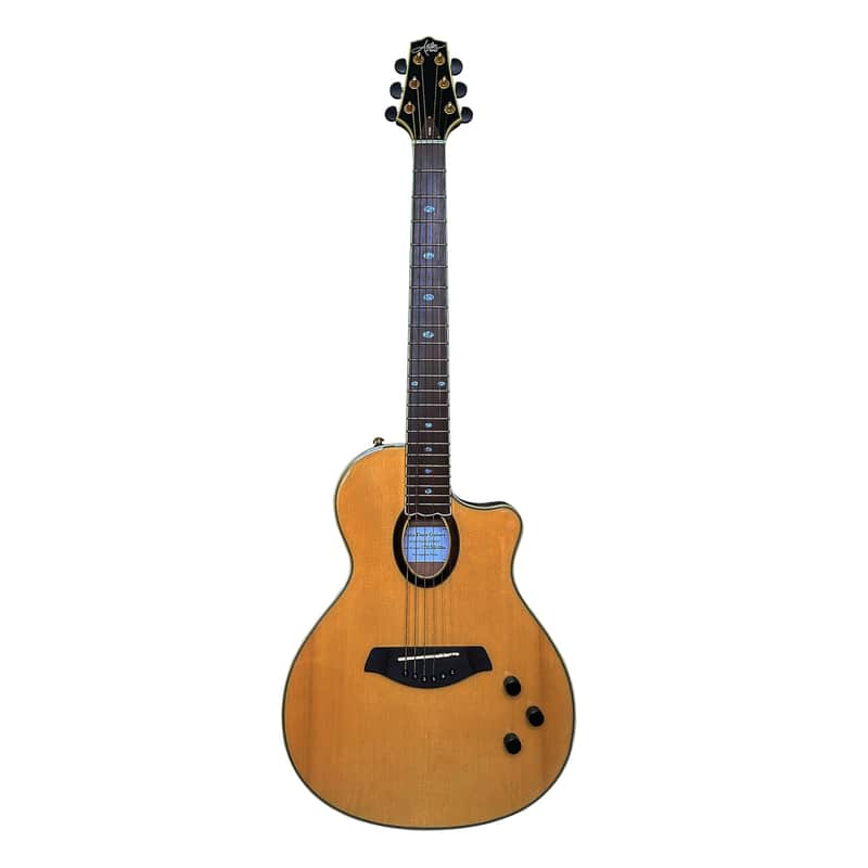 Aslin Dane Icosa 6 String solid top thin line electric-acoustic guitar - Natural in High Gloss image 1