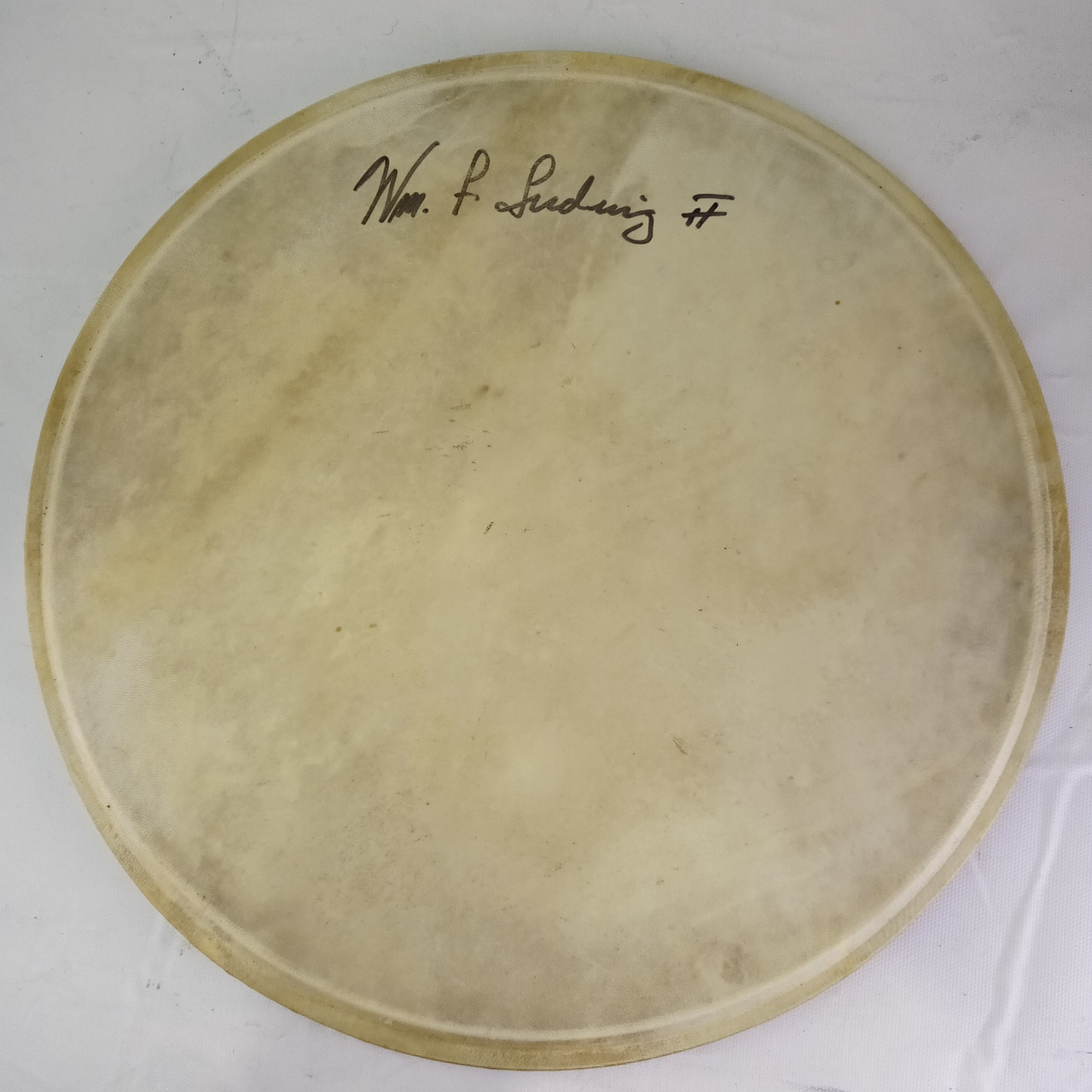 William F Ludwig II SIGNED 14"Calf Skin Drum Head Vintage30s WFL Wm Snare Batter — main photograph