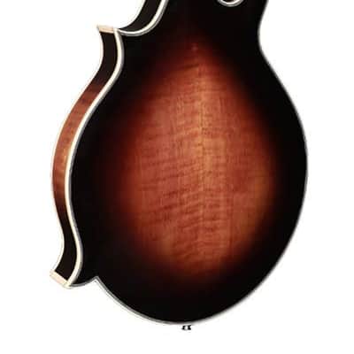 Richwood RMF-100-VS Mandoline image 2