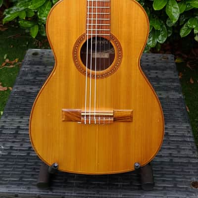 Giannini AWN 6 3/4 Classical Guitar 1980 - Natural / Figured Imbuia image 1