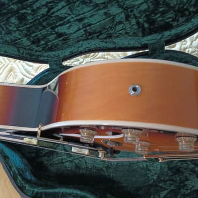 Grote Semi-hollowbody 2019 image 11
