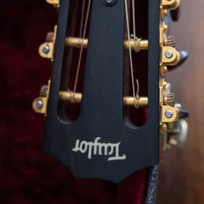 Taylor 512 12 Fret - Natural image 17