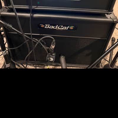 Bad Cat Era Head with matching 1x12 cab image 3