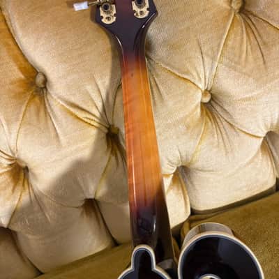 Morgan Monroe MMS5W "Tree of Life" F-Style Mandolin w/case - Sunburst image 9