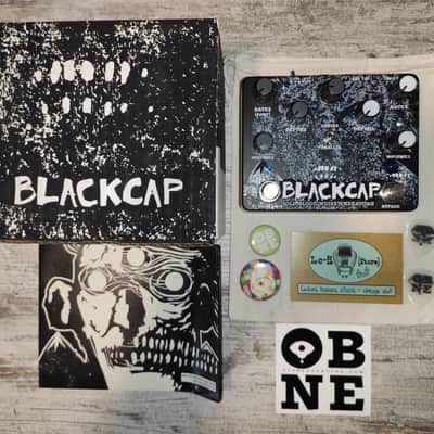 Immagine Old Blood Noise Endeavors Blackcap Asynchronous Dual Tremolo - 1