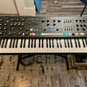 Moog Muse 8-Voice Analog Synthesizer 2024 - Present - Black