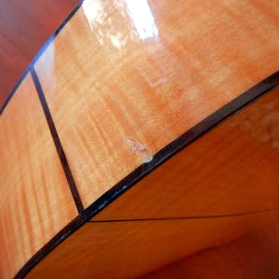 Lucida Artista Picado LG-725 flamenco guitar image 13