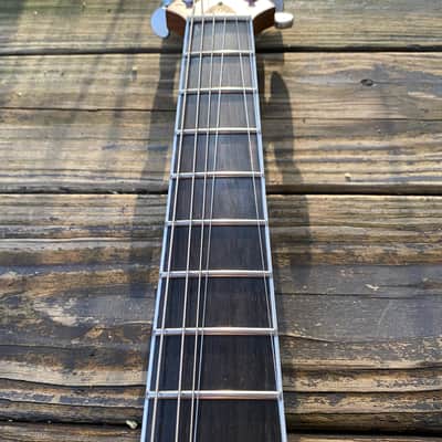Harley Benton AguFish LTD Signature 2020 Purple Electric Guitar Hunter Engel roasted maple neck image 10