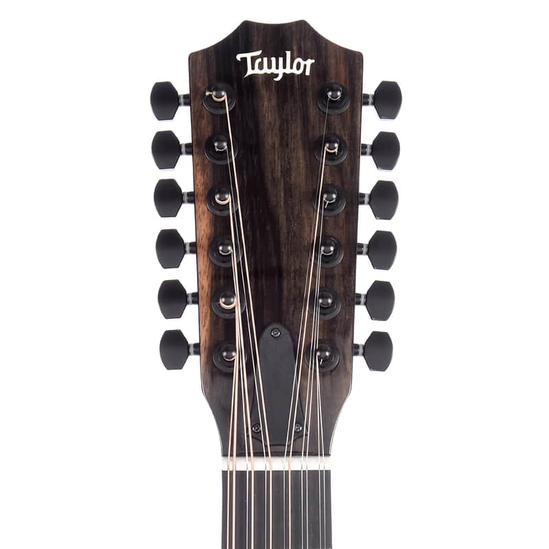 Taylor 250ce-BLK DLX image 5