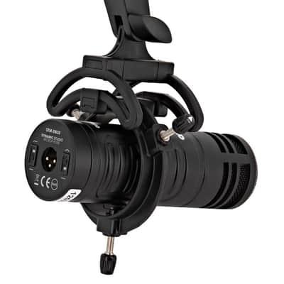 DB30 Dynamic Professional Studio Microphone image 6