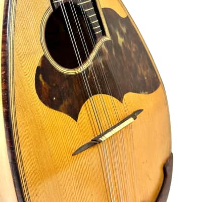 Concert Mandolin G. Kasermann (Carlo Sartori Label) from 1929 image 5