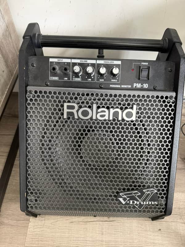 Roland PM-10 30-Watt 2x10