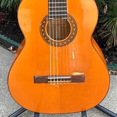 Early Augustino Flamenco Guitar with Pegs w/HSC image 1