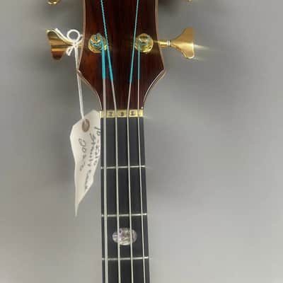 Alembic Bass Stanley Clark signature deluxe Cocobolo 2023 image 5