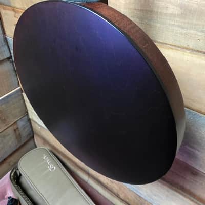 Pre-owned Deering Goodtime Tenor Banjo 17 Fret w/pickup & bag image 15