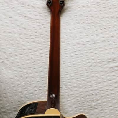 Lefty Left Handed Takamine LTD Whales Limited Edition 2002 Natural - Ultra Rare Save the Whales image 6
