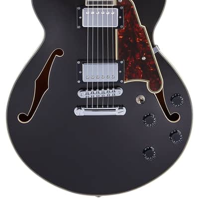 D'Angelico Premier SS Semi-Hollow Body Electric Guitar, Black Flake w/Gig Bag image 19