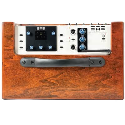 Elite Acoustics EAE D6-58 120W Open Box Acoustic Amplifier with LFP Battery and Bluetooth - Wood image 3