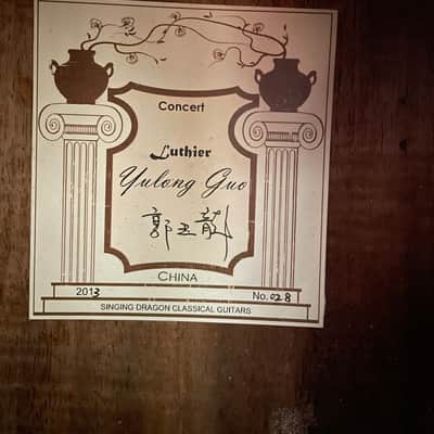 Yulong Guo Concert Model 2013 image 3
