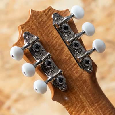 Koaloha Opio KTO-G6 Tenor 6 Strings image 9