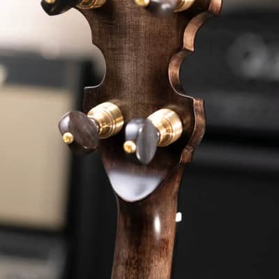 OME Banjos Gold Hill Vintage Alpha 5-String Resonator Banjo with Hardshell Case image 7