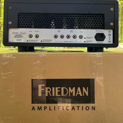Friedman Little Sister 20 watt Head image 2
