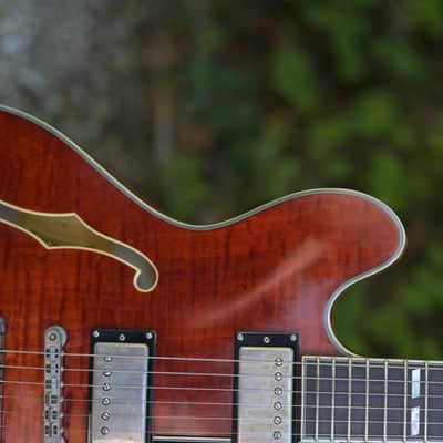 Eastman T59/TV - Vintage Amber image 4